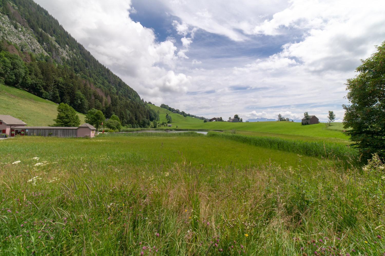 Wiesel Wildhaus Eksteriør billede